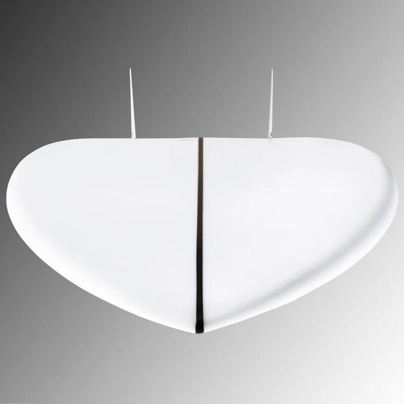 FISH 900 5'8" 35 L. Livrée Avec 2 Ailerons Twin . 8 FISH 900 5'8" 35 L. Livrée Avec 2 Ailerons Twin . – Image 8