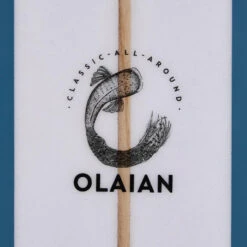 LONGBOARD 900 9' 67 L . Livré Avec 2 +1 Aileron Central De 8" . -Meilleur Surf Magasin longboard 900 9 67 l livre avec 2 1 aileron central de 8 5